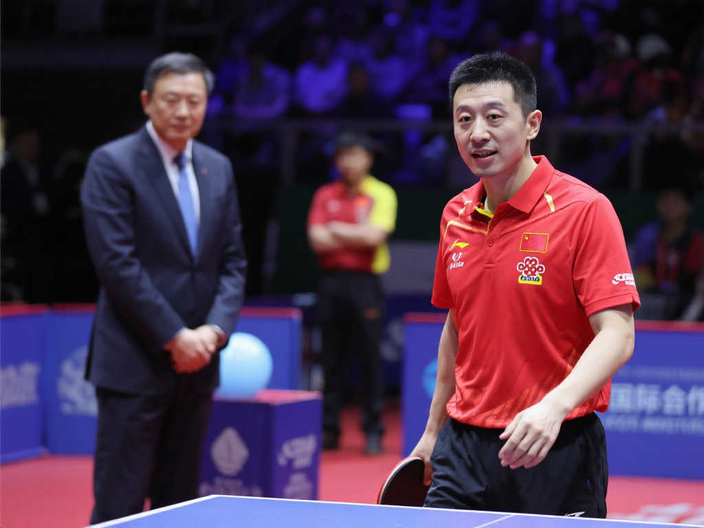 表现充满期 表现充满期